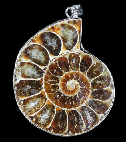 Fossil Ammonite Pendant - Million Years Old #83144